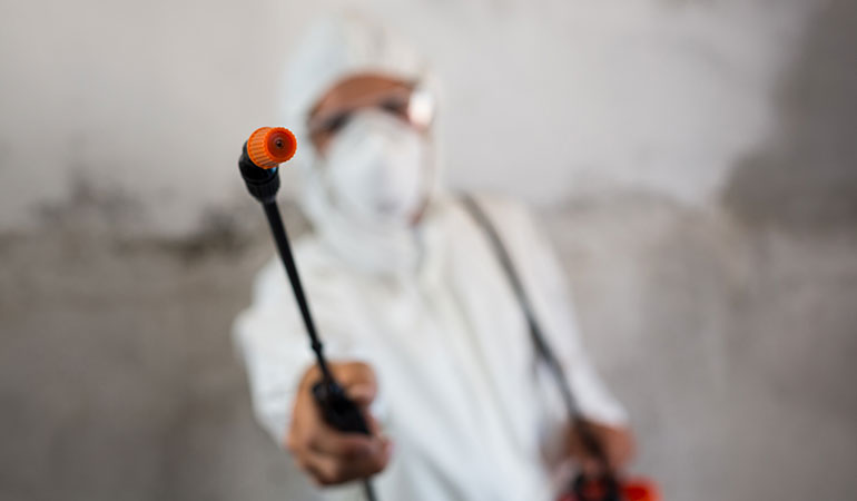 Pest Control Services Islamabad